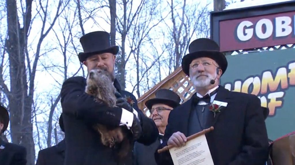 Punxsutawney Phil