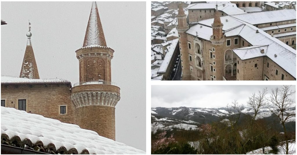 Urbino