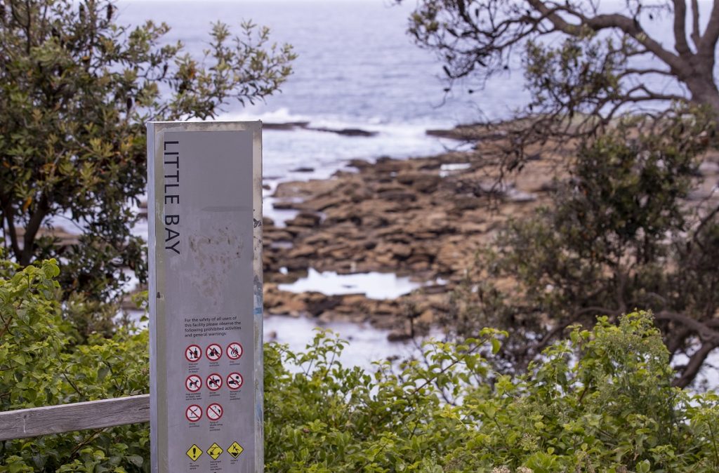 attacco squalo a little-bay sydney australia