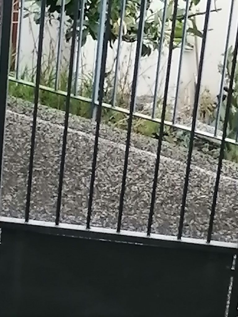cenere Zafferana Etnea