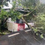 Meteo, ciclone Batsirai sulle Mauritius: forti piogge e venti fino a 150km/h, migliaia di case senza elettricità – FOTO e VIDEO
