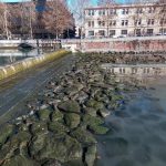 Siccità in Piemonte, fiumi svuotati a Torino: magra d’inverno storica per Po e Dora, portate ridottissime – FOTO