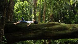 forest bathing