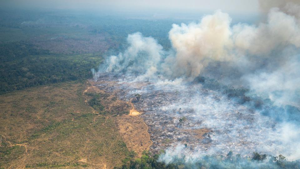 incendi amazzonia bogotà colombia