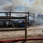 Forte vento nel sud della Francia, diversi incendi nell’Hérault: 2 cavalli uccisi nel rogo scoppiato in un maneggio – FOTO
