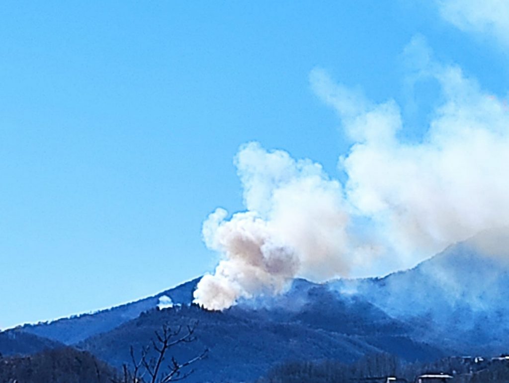 incendi piemonte Carella
