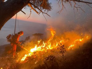 incendio monte moro genova