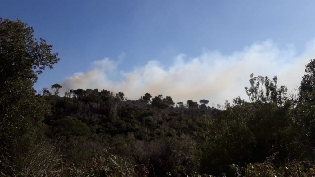incendio rosignano