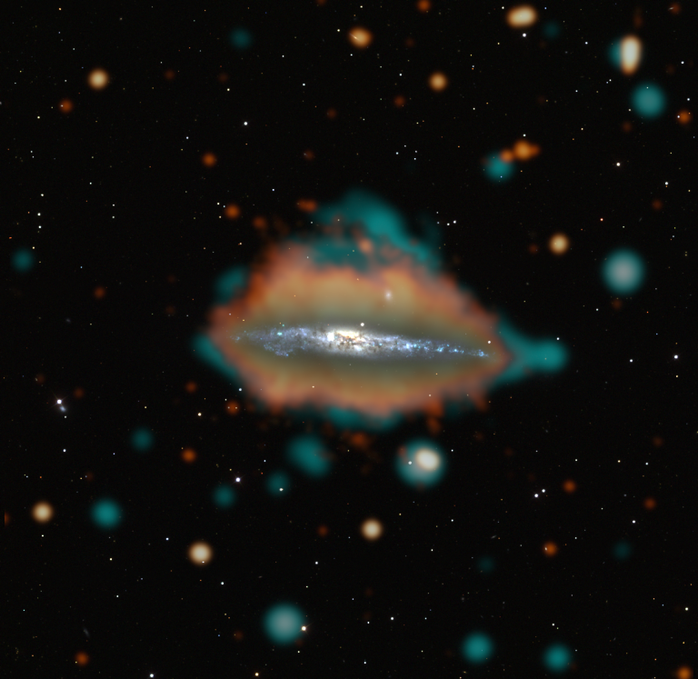 Immagine composita con dati radio, X e ottici della Galassia Balena o NGC 4631. In questa sorgente la formazione stellare produce gas caldo, visibile nei raggi X (blu), così come particelle altamente energetiche che si muovono a spirale nel campo magnetico della galassia, visibili nei dati radio LoTSS (arancione). Gli alti livelli di formazione stellare sono probabilmente innescati dall'interazione con una vicina galassia. Crediti: Volker Heesen e Michael Stein