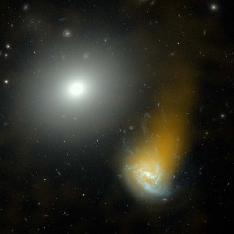 Immagine radio (LoTSS-DR2) e ottica (Hubble) della Galassia Medusa o NGC 4858 che sta “volando” attraverso un mezzo denso che sta strappando materiale dalla galassia. Crediti: Ian Roberts