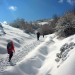 Neve in Sicilia: scenari mozzafiato sulle Madonie [FOTO e VIDEO]