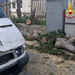Meteo, forte vento in Puglia: 95km/h a Brindisi, tetti divelti e alberi caduti nel Salento – FOTO