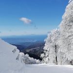 Meteo, spettacolo in Calabria: la neve imbianca tutto a Gambarie, si scia con vista sullo Stretto di Messina – FOTO e VIDEO