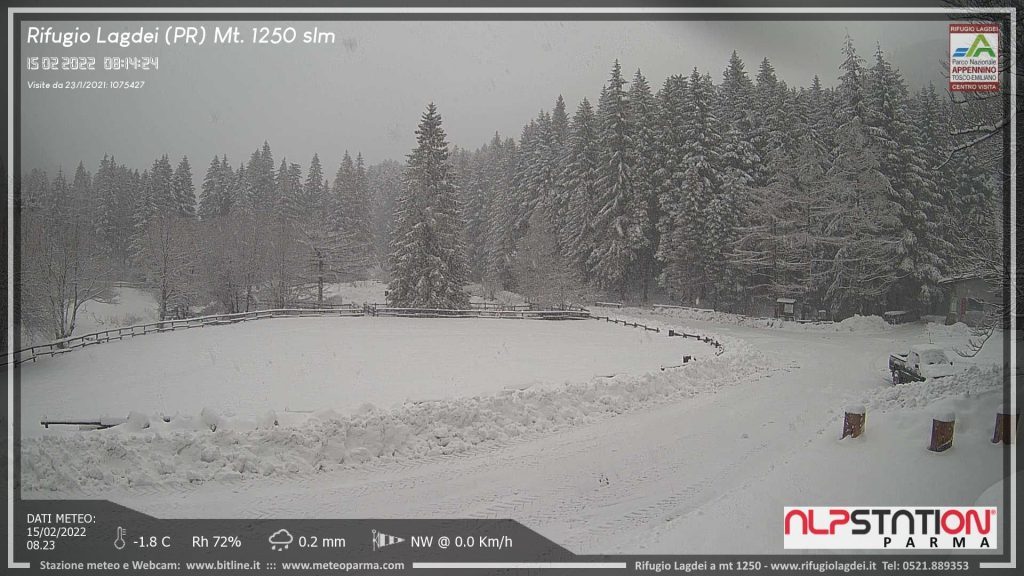 neve parma