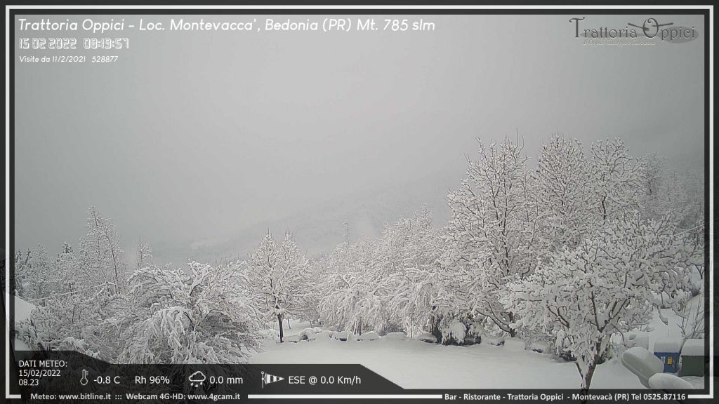 neve parma