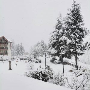 neve trentino