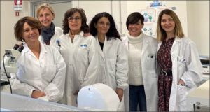 team enea alzheimer
