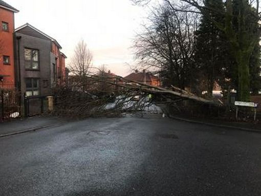 Gli effetti della tempesta Dudley nel Regno Unito