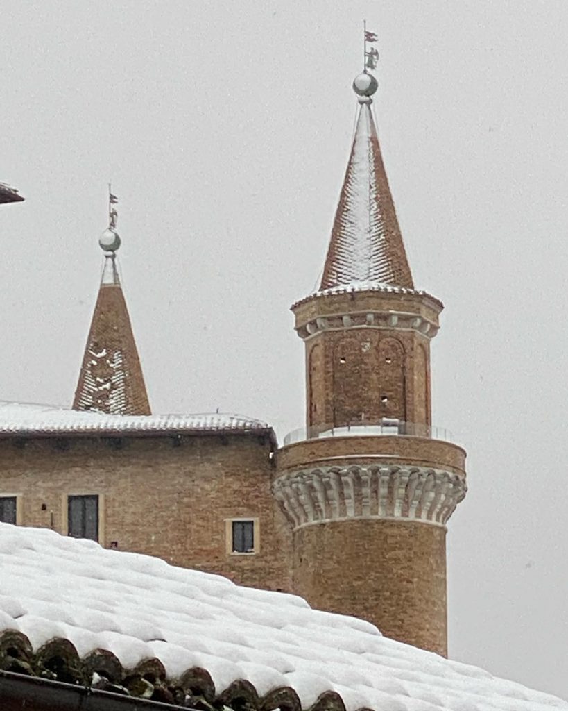 Urbino
