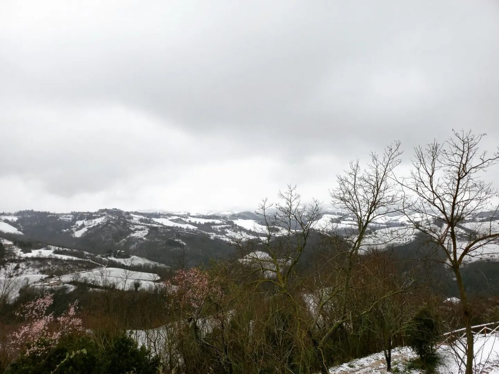 Urbino
