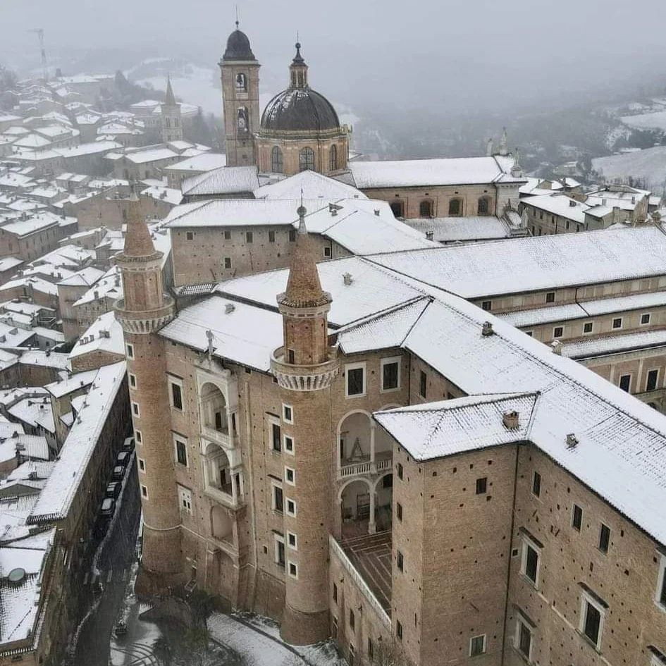 Urbino