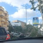 Meteo, forte vento in Puglia: 95km/h a Brindisi, tetti divelti e alberi caduti nel Salento – FOTO