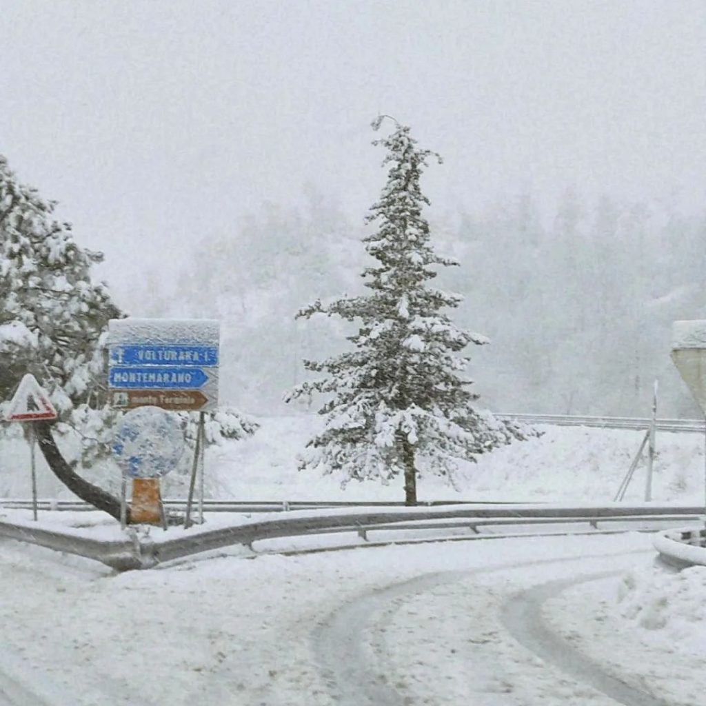 Neve Avellino
