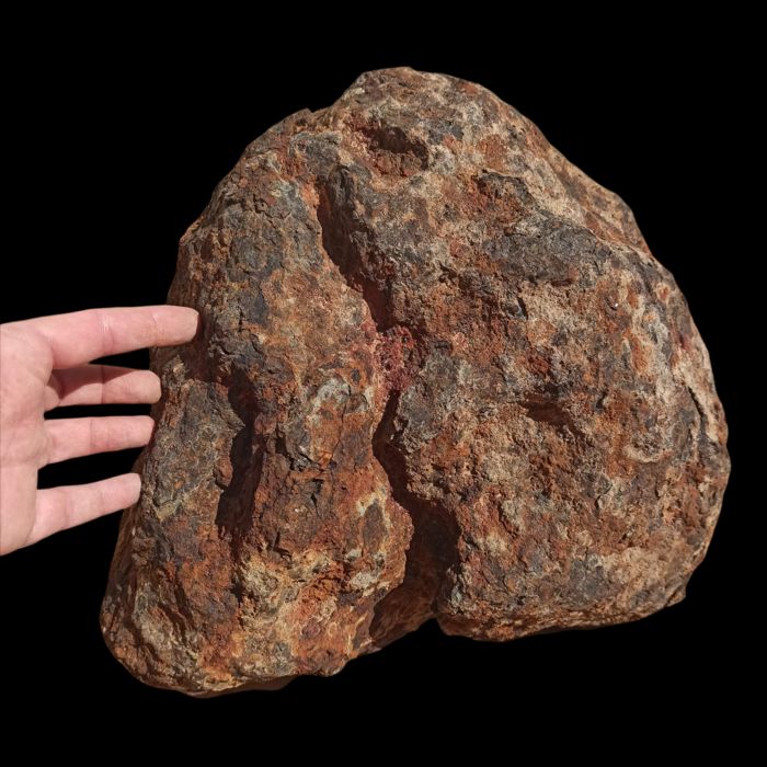 Pallasite