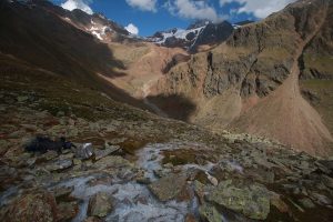 Ruscello alimentato da rock glacier in alta val Mazia. Le concrezioni bianche sono dovute alla precipitazione di metalli pesanti legate al basso pH delle acque