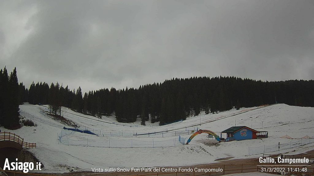 campomulo