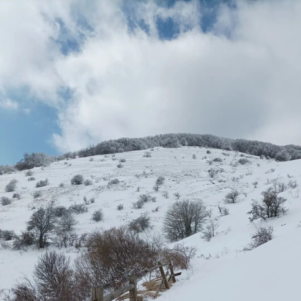 Capracotta