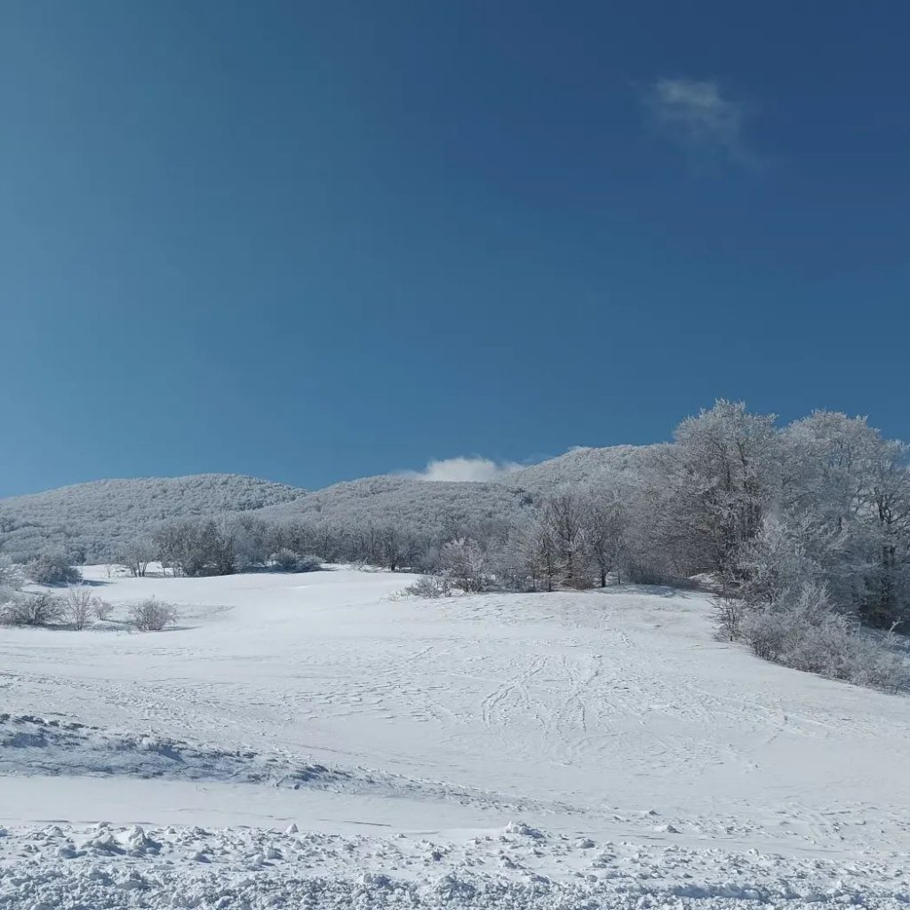 Capracotta