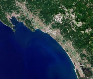 carrara