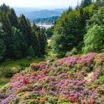 Le fioriture di primavera più belle d'Italia | FOTO