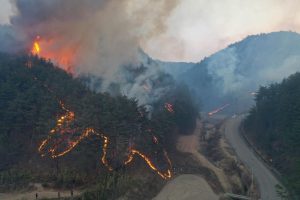 corea del sud incendio Uljin