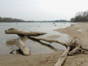 fiume po