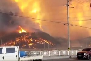 incendio corea del sud