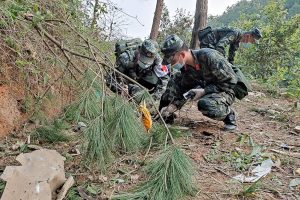 cause incidente aereo cina
