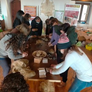 laboratori archeologia Aspromonte (1)