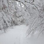 Aspromonte sommersa di neve, gli accumuli sfiorano i 3 metri: ciaspolata da sogno fino a Montalto | FOTO