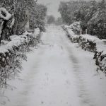 Maltempo, nevicate nel Barese: interventi di soccorso ad auto in avaria, mezzi spargisale in azione – FOTO