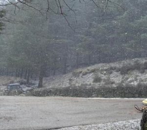 neve fonni
