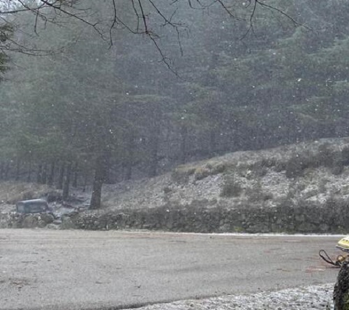 neve fonni