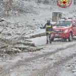 Maltempo Sicilia, neve nel messinese: albero crolla sulla SP176, vigili del fuoco sul posto | FOTO