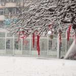 Maltempo in Cina, a Pechino torna la neve: la capitale cinese imbiancata per il 2° giorno consecutivo | FOTO e VIDEO