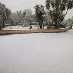 Maltempo e gelo, la neve ammanta la Puglia fino a bassa quota: risveglio imbiancato a Fasano e Putignano [FOTO e VIDEO]