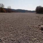 Grave siccità al Nord-Est: l’Isonzo in secca a Gradisca, il fiume pieno di pesci morti | FOTO