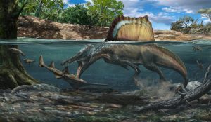 spinosauri