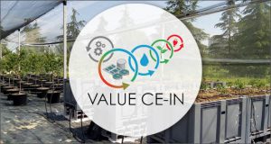 Value CE-IN