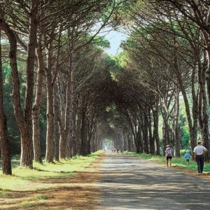 Parco di Migliarino San Rossore Massaciuccoli